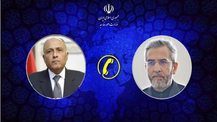 گفتگوی تلفنی علی باقری با وزیر خارجه مصر