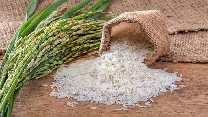 پیش‌بینی ۷۷۰ هزار هکتار سطح زیر کشت برنج