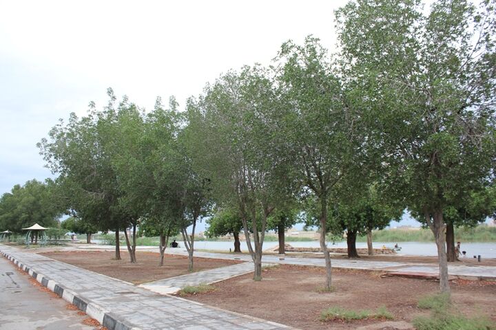 آبادان، دو رودخانه پر آب و گردشگری آبی هیچ| بهمنشیر زیبا گذر گردشگری ندارد