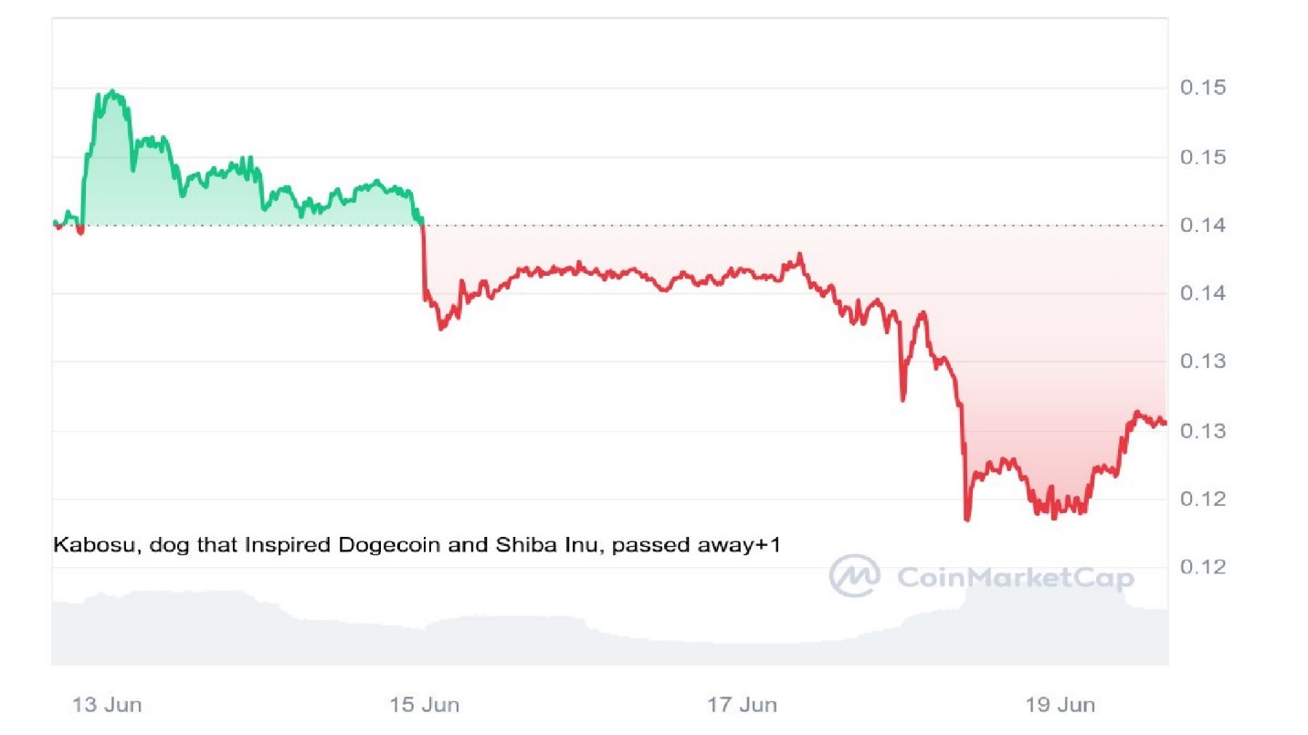 پیشفروش PlayDoge و پیشبینی بازده ۱۰ برابری نسبت به دوج کوین