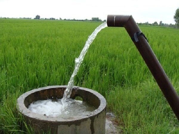 وزارت نیرو یه وظایفش در حوزه کشاورزی عمل نمی کند وزارت نیرو یه وظایفش در حوزه کشاورزی عمل نمی کند