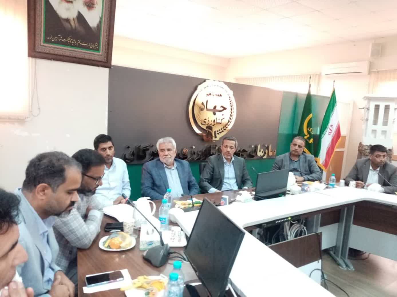 دل نگرانی لیموکاران هرمزگانی شدت گرفت| کشاورزان: از کشت به قطع رسیده ایم