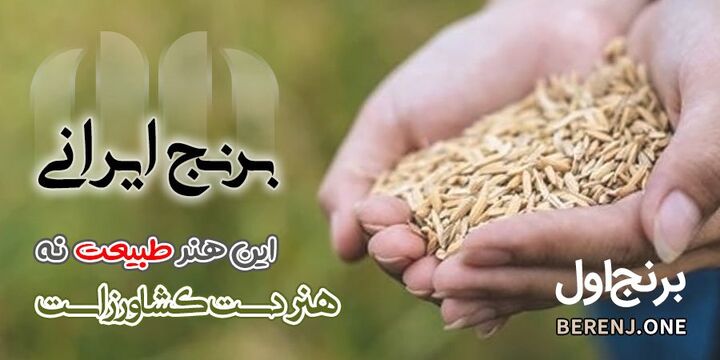 تحلیل بازار آینده خرید و فروش برنج ایرانی