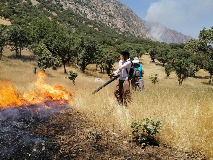 آتش سوزی گسترده در جنگلها و مراتع کوه سیاه چاروسا کهگیلویه آتش سوزی گسترده در جنگلها و مراتع کوه سیاه چاروسا کهگیلویه