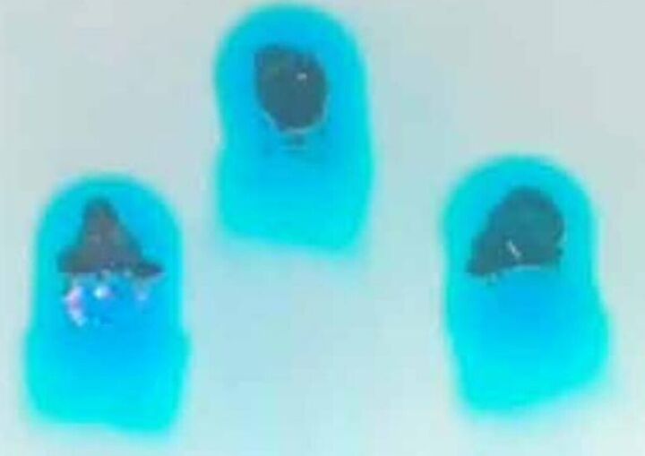 دارورسانی با رباتهای عروس دریایی هدایت شونده با نور ممکن میشود دارورسانی با رباتهای عروس دریایی هدایت شونده با نور ممکن میشود