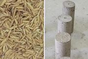 پیش‌بینی مقاومت بتن با هوش مصنوعی| ضایعات برنج به سیمان صنعتی تبدیل شد