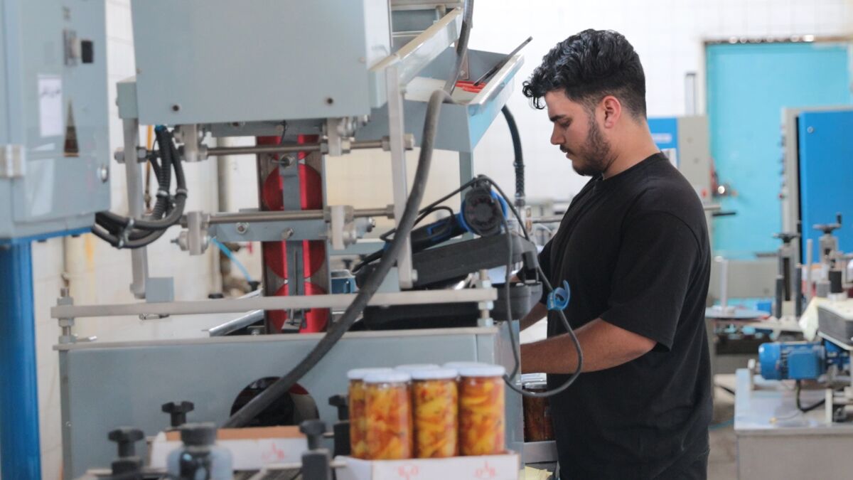 تناقض عجیب در بازار کار؛ بیکاری جوانان در کنار کمبود نیروی کار!