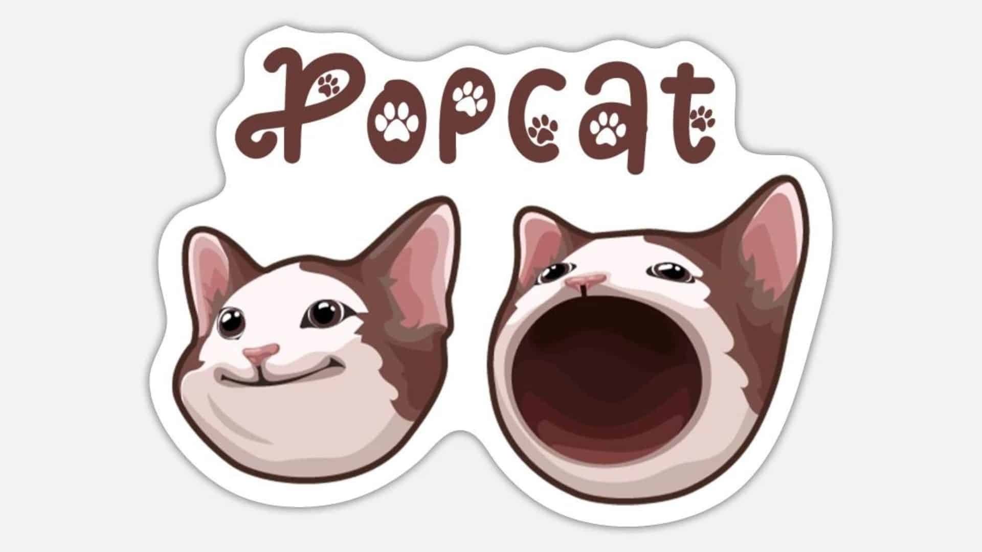 POPCAT به داغترین میمکوین سولانا در سال ۲۰۲۴ تبدیل شد