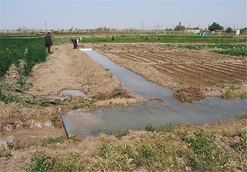 خرده مالکی سنگ بزرگ در مسیر کشاورزی صنعتی| «قانون ارث» منابع را هدر می دهد