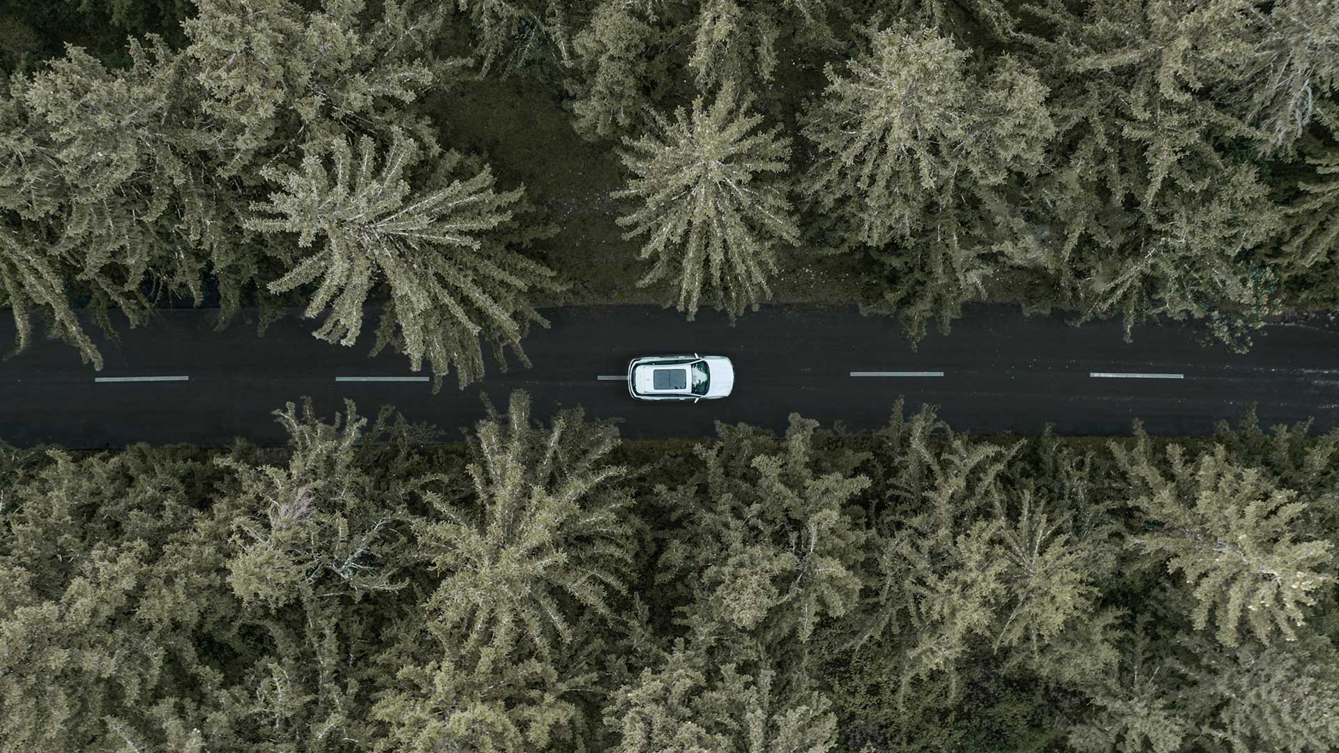 ویژگیهای ایمنی چشمگیر در تیگو ۷ پرو مکس؛ آرامش خاطر در هر مسیر