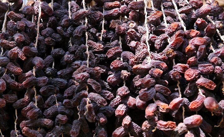 سرمایهگذاری در شیلات و خرما؛ ۲ اولویت اقتصادی خوزستان سرمایهگذاری در شیلات و خرما؛ ۲ اولویت اقتصادی خوزستان