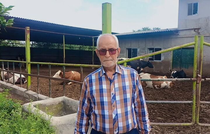 عدم همخوانی هزینه تولید و درآمد دامداری ها| سرمایه گذاری کردیم و ناچار به ادامه هستیم عدم همخوانی هزینه تولید و درآمد دامداری ها| سرمایه گذاری کردیم و ناچار به ادامه هستیم