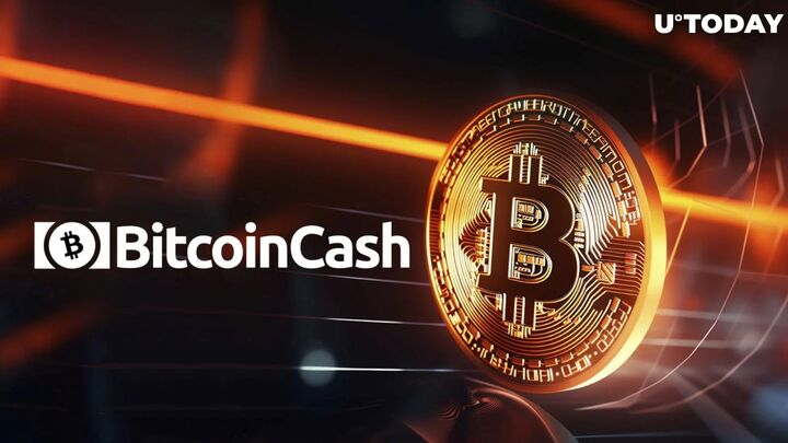 نشانههایی از صعود به اوجهای جدید در بیتکوین کش (BCH) نشانههایی از صعود به اوجهای جدید در بیتکوین کش (BCH)