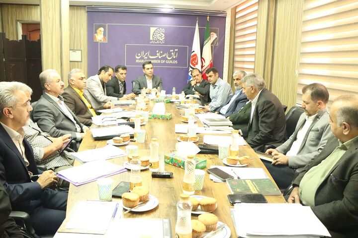 بررسی و تحلیل اختیارات قانونی مجریان تجربی لولهکشی گاز در طراحی و اجرا