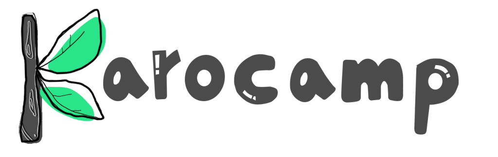 پنجمین دوره بوت کمپ برنامه نویسی Karocamp برگزار شد: آموزش ببینید، استخدام شوید