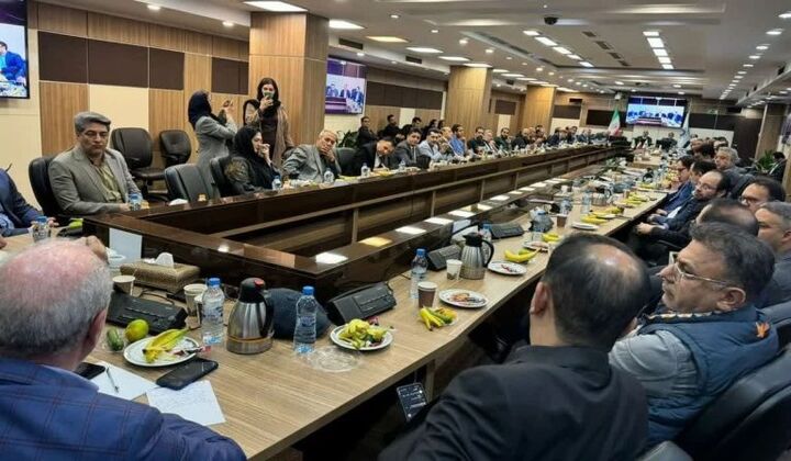 چالشهای تبصره ۴ ماده ۱۸ برای سازندگان طلا مورد بررسی قرار گرفت