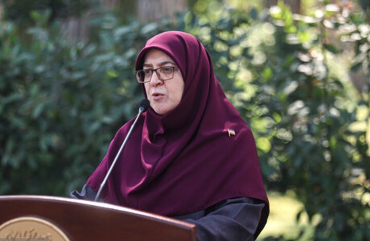 مهاجرانی: پرداخت کالابرگ پس از تأمین منابع انجام میشود مهاجرانی: پرداخت کالابرگ پس از تأمین منابع انجام میشود