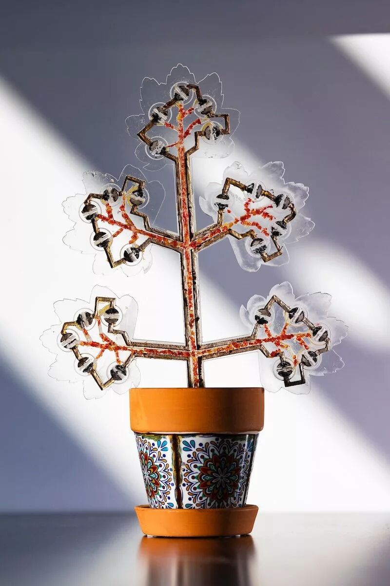 گیاه مصنوعی که هوای داخل خانه را تصفیه و برق تولید میکند