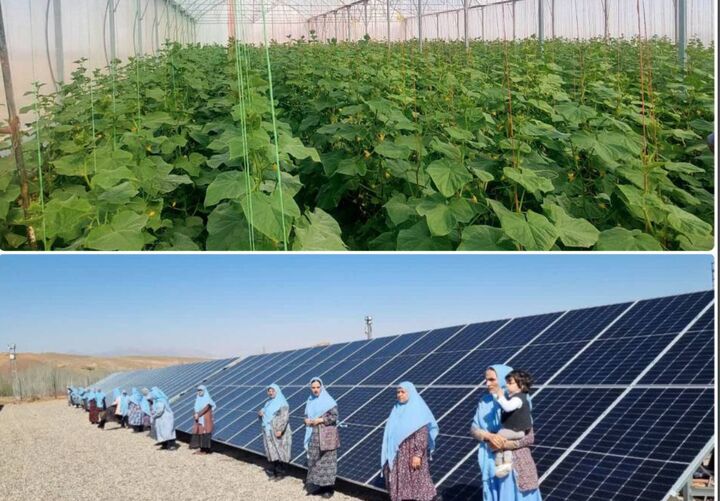 بنیاد برکت درخشان‌تر از همیشه؛ اشتغالزایی ۱۰۰۰ طرح در ۴ شهرستان| روستای عباس آباد بیکار ندارد!