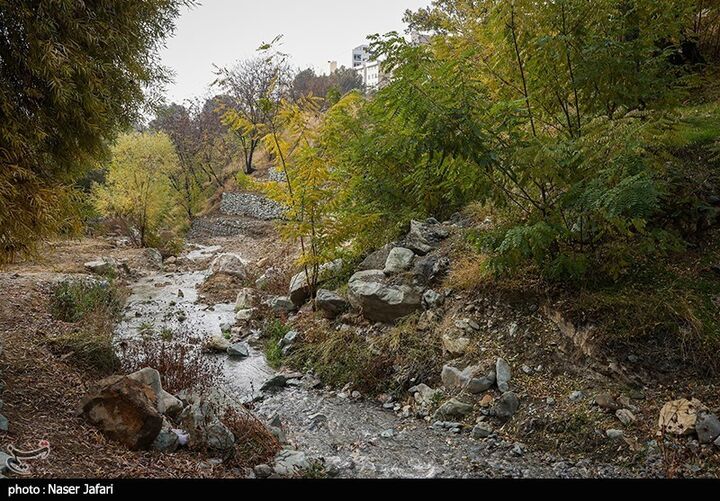 رود دره فرحزاد مسیر گردشگری پایتخت میشود رود دره فرحزاد مسیر گردشگری پایتخت میشود