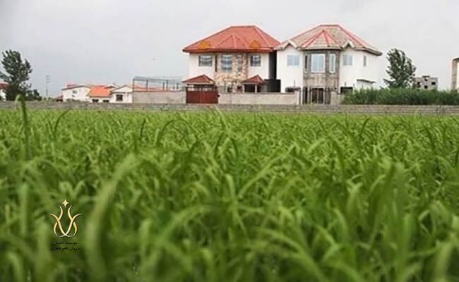 ۴۱ بنای غیر مجاز در اراضی کشاورزی بابل تخریب شد ۴۱ بنای غیر مجاز در اراضی کشاورزی بابل تخریب شد
