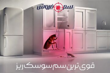 قوی ترین سم سوسک ریز کابینت - نجات آشپزخانه از شر سوسک آلمانی