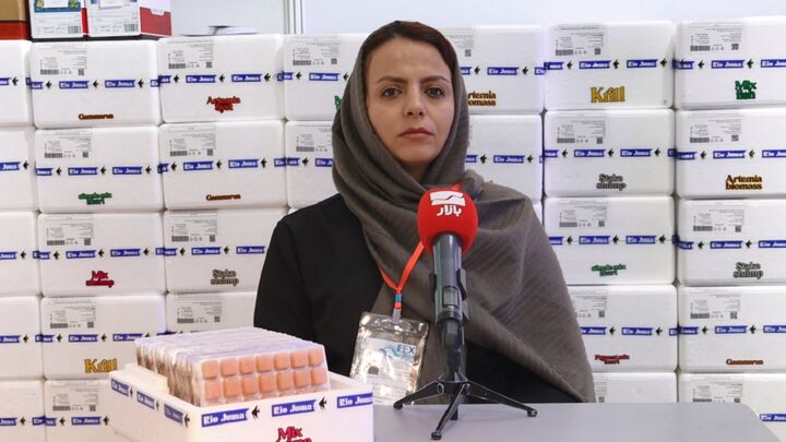 دولت زمینه بین المللی شدن بازار محصولات شیلاتی موثر تر می توانست وارد شود دولت زمینه بین المللی شدن بازار محصولات شیلاتی موثر تر می توانست وارد شود