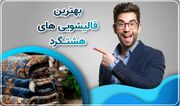 نحوه تمیز کردن انواع مبل با بخارشوی