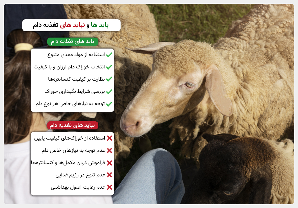 باید و نبایدهای خوراک دام: راهنمای جامع انتخاب خوراک دام مناسب و اقتصادی