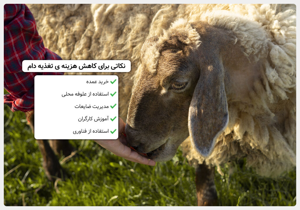 باید و نبایدهای خوراک دام: راهنمای جامع انتخاب خوراک دام مناسب و اقتصادی