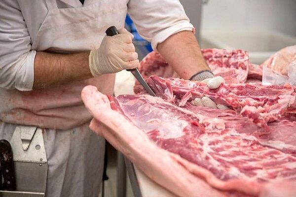 کشتارگاه؛ حلقه گمشده اقتصاد دامی جنوب کرمان| گوشت گران و قاچق دام؛ بهای نبود زیرساخت