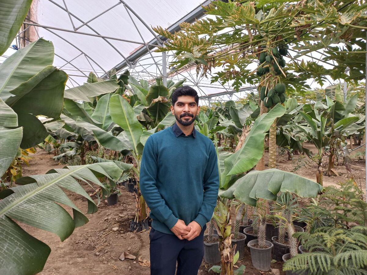 استقبال گردشگران داخلی و خارجی از گلخانه میوههای استوایی| بیتوجهی مسئولان بهایده جوان ۲