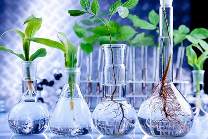 امضای ۱۷ قرارداد دانش بنیان در بخش کشاورزی امضای ۱۷ قرارداد دانش بنیان در بخش کشاورزی