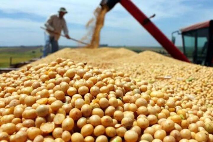 مشکل تأمین سویا در بازارگاه رفع شد| هرگونه تخلف پیگیری می شود