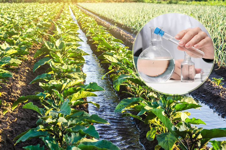 آب، سرمایه کشاورزی: ضرورت انجام آزمایش آب برای موفقیت در زراعت آب، سرمایه کشاورزی: ضرورت انجام آزمایش آب برای موفقیت در زراعت