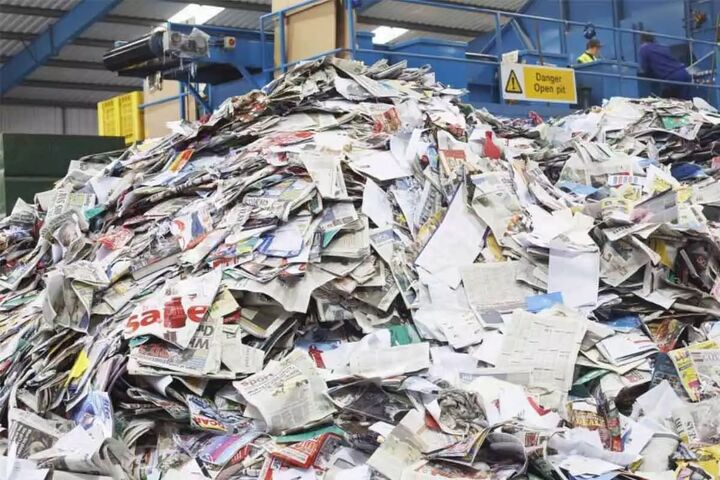 چگونه از اکوسیستم جنگلی خود محافظت کنیم؟ چگونه از اکوسیستم جنگلی خود محافظت کنیم؟