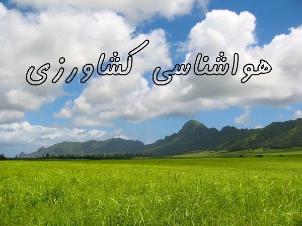 ضرورت تسریع کشت گندم دیم در مناطق سردسیر ضرورت تسریع کشت گندم دیم در مناطق سردسیر