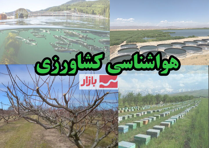 گلخانهداران بعد از وقوع گرد و خاک سطوح گلخانه را پاکسازی کنند