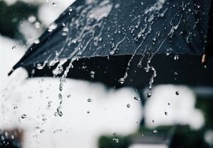 هواشناسی امروز ۱۳ بهمن؛ بارشهای پراکنده در ۳ استان | آلودگی شهرهای صنعتی تا دوشنبه