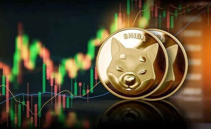 بازگشت ناگهانی نهنگ های شیبا اینو بازگشت ناگهانی نهنگ های شیبا اینو