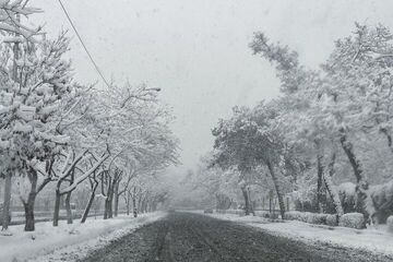 هشدار بارش برف ۵ روزه در ۲۳ استان