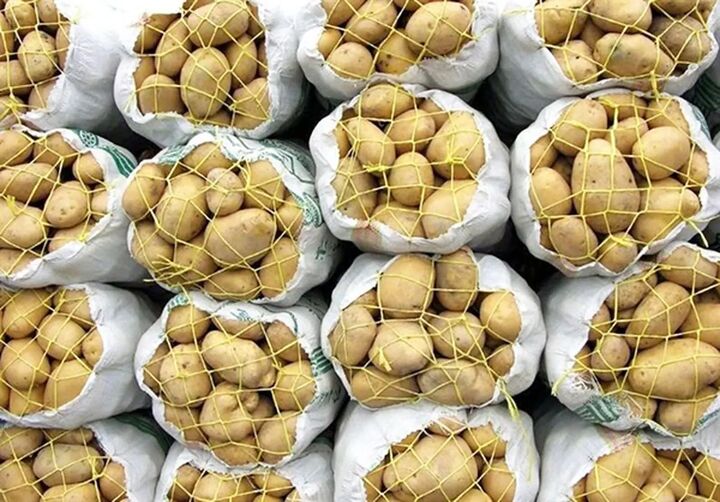آغاز توزیع سیبزمینی وارداتی با قیمت مصوب در استان یزد آغاز توزیع سیبزمینی وارداتی با قیمت مصوب در استان یزد