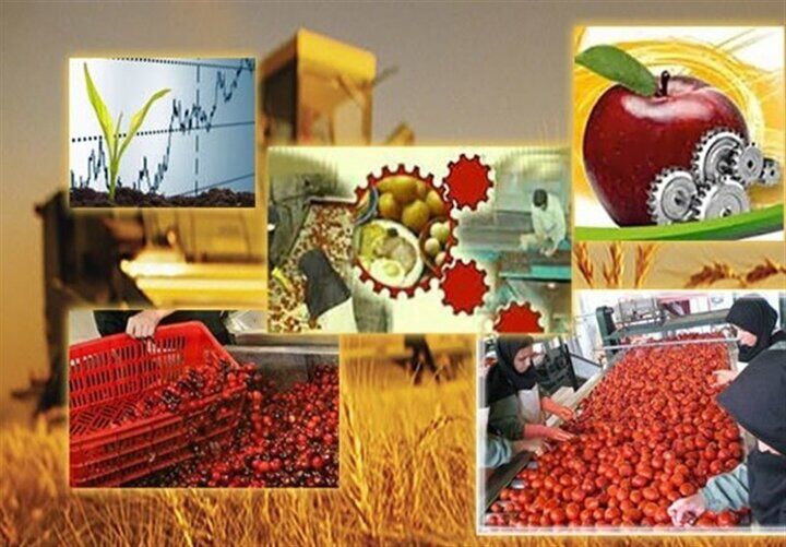 سرمایهگذاری ۲۲ همتی در ۶۲۷ پروژه حوزه صنایع تبدیلی و غذایی سرمایهگذاری ۲۲ همتی در ۶۲۷ پروژه حوزه صنایع تبدیلی و غذایی