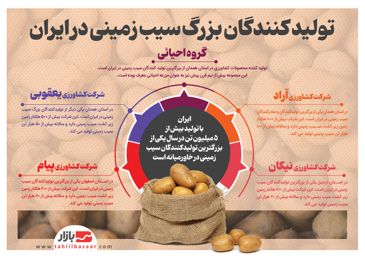 تولید کنندگان بزرگ سیب زمینی در ایران