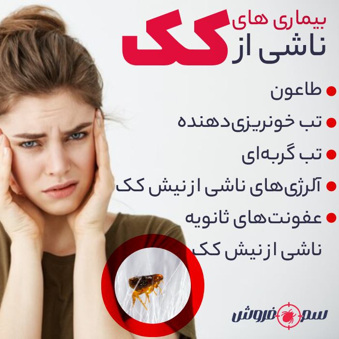 بیماری های ناشی از کک