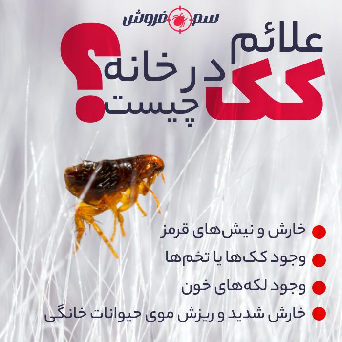 علائم کک در خانه چیست