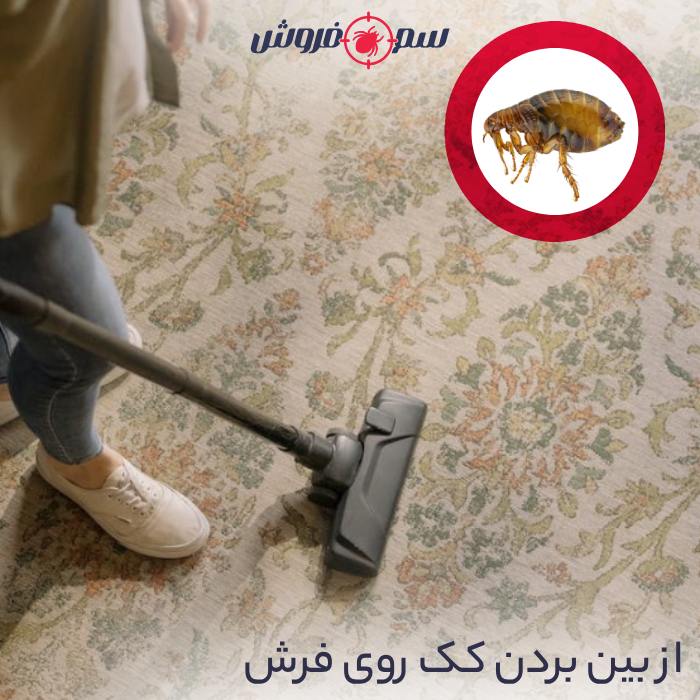 از بین بردن کک روی فرش