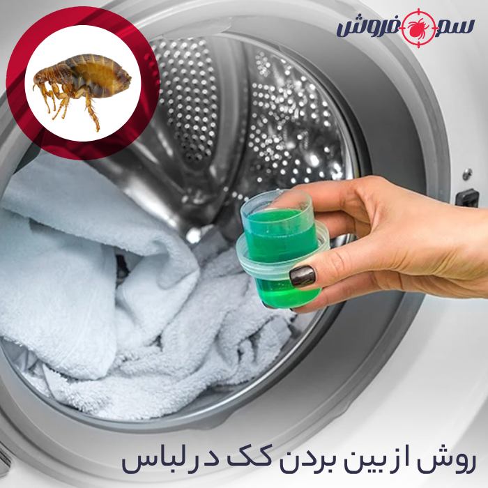 روش از بین بردن کک در لباس