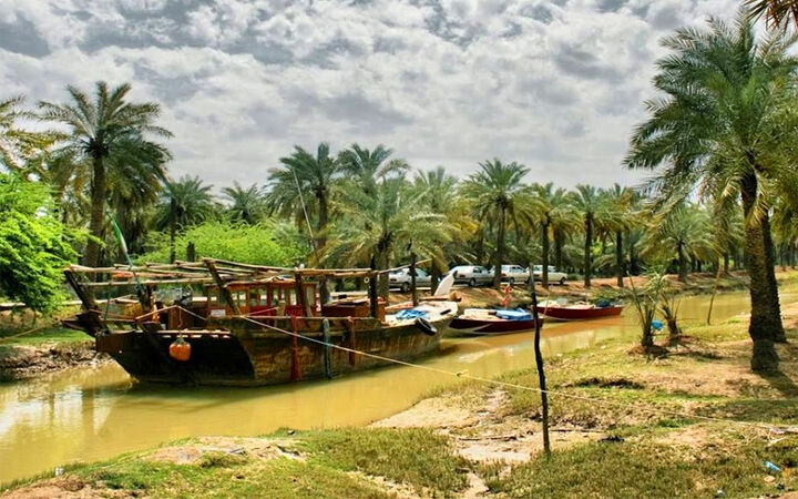 شمارش معکوس «مینو» برای توسعه اقتصادی| دولت دست به کار شود شمارش معکوس «مینو» برای توسعه اقتصادی| دولت دست به کار شود