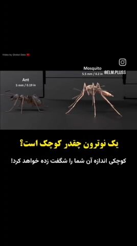 یک نوترون چقدر کوچک است؟ یک نوترون چقدر کوچک است؟
